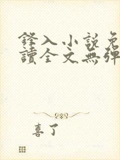 锋入小说免费阅读全文无弹窗封面