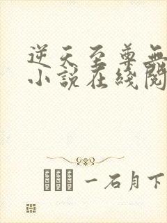 逆天至尊无删减小说在线阅读