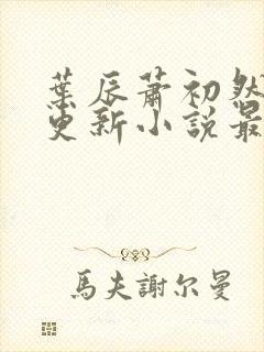 叶辰萧初然最快更新小说最新章节