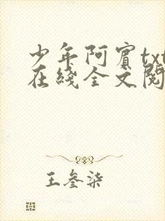 少年阿宾txt在线全文阅读