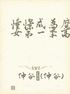 憧憬成为魔法少女第一季高清封面