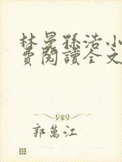 林曼孙浩小说免费阅读全文最新章节