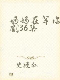 妈妈在等你电视剧36集