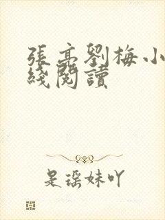 张亮刘梅小说在线阅读