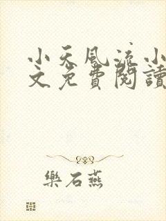 小天风流小说全文免费阅读无弹窗