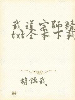 武道宗师精校版txt全本下载