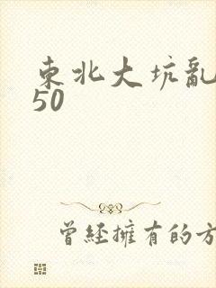 东北大坑乱1—50