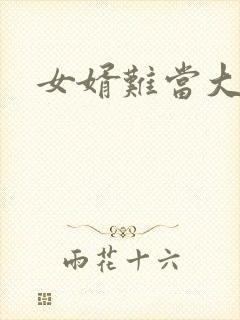 女婿难当大结局