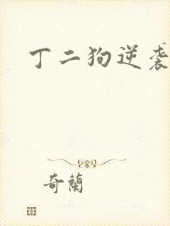 丁二狗逆袭人生