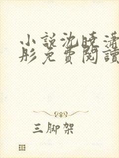 小说沈晓潇林冰彤免费阅读