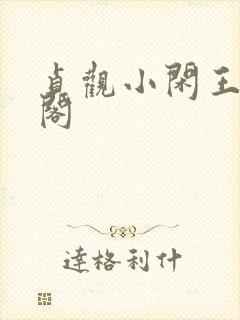 贞观小闲王笔趣阁