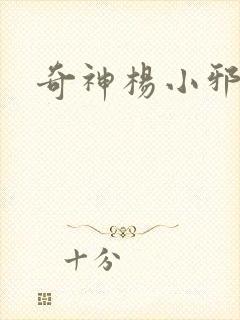 奇神杨小邪封面