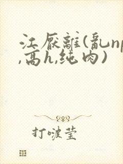 江厌离(乱np,高h,纯肉)
