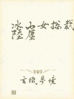 冰山女总裁全集陆尘