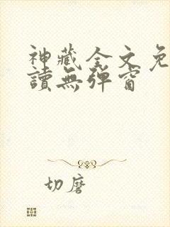 神藏全文免费阅读无弹窗封面