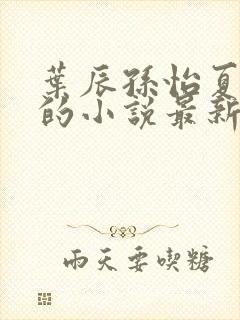 叶辰孙怡夏若雪的小说最新