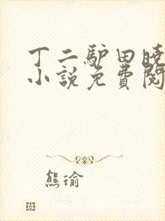 丁二驴田晓兰的小说免费阅读笔趣阁