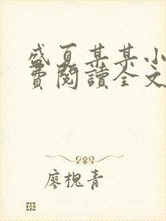 盛夏某某小说免费阅读全文