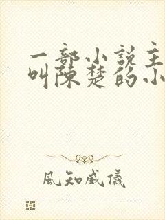 一部小说主人公叫陈楚的小说封面