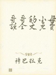 哥哥的小母狗小说全文免费阅读笔趣阁封面