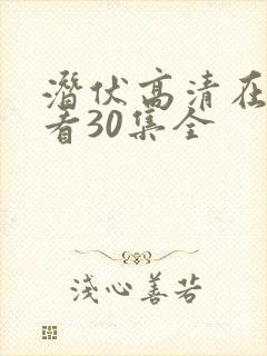 潜伏高清在线观看30集全封面