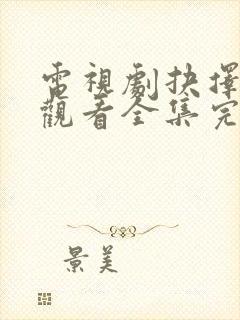 电视剧抉择免费观看全集完整版