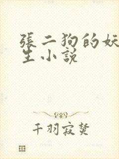 张二狗的妖孽人生小说封面