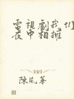 电视剧我们在黑夜中相拥