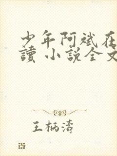 少年阿斌在线阅读 小说全文免费