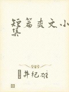 短篇爽文小说合集