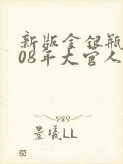 新版金银瓶2008年大官人