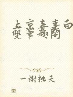 上京春事白鹭成双笔趣阁封面