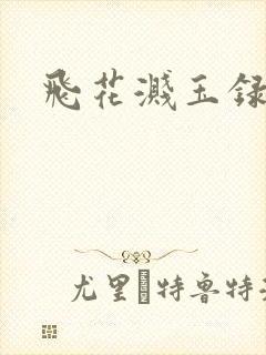 飞花溅玉录