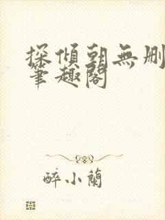 探倾朝无删减版笔趣阁封面