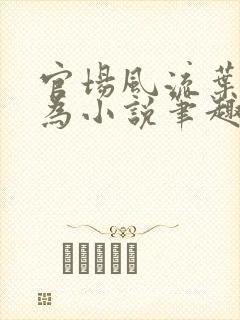 官场风流叶天何为小说笔趣阁