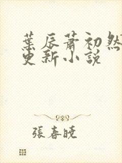 叶辰萧初然最新更新小说封面