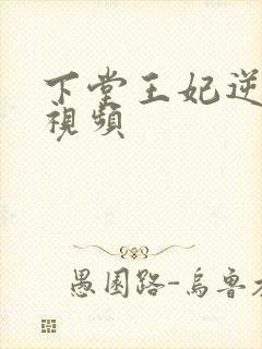 下堂王妃逆袭记视频