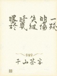 眼睛失明一个属于几级伤残