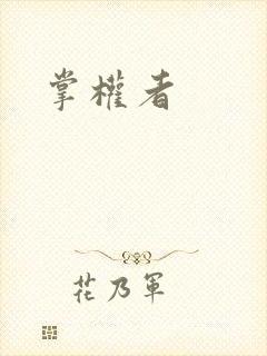 掌权者封面