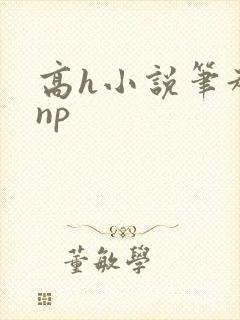 高h小说笔趣阁np