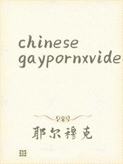 chinesegaypornxvideos