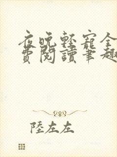 夜晚轻宠全文免费阅读笔趣阁封面