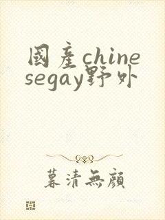 国产chinesegay野外