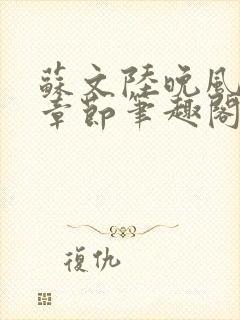 苏文陆晚风最新章节笔趣阁封面