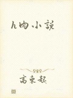 h肉小说