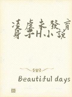 凌虐未发育的小身子H小说封面