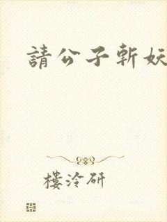 请公子斩妖陆苍封面