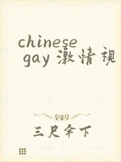 chinese gay 激情视频