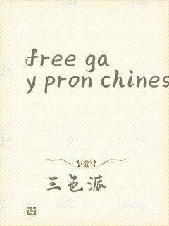 free gay pron chinese封面