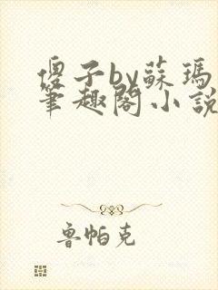 傻子by苏玛丽笔趣阁小说